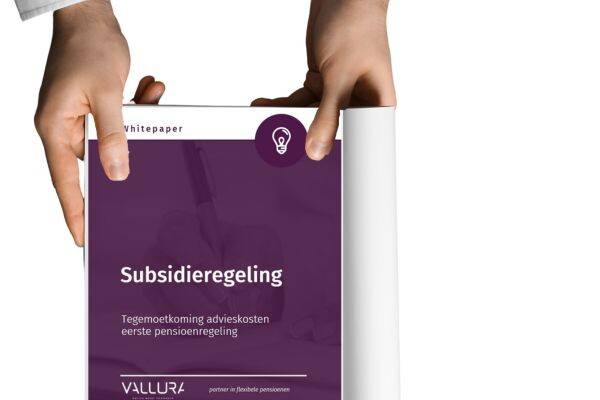 handenfoto whitepaper subsidieregeling.jpg